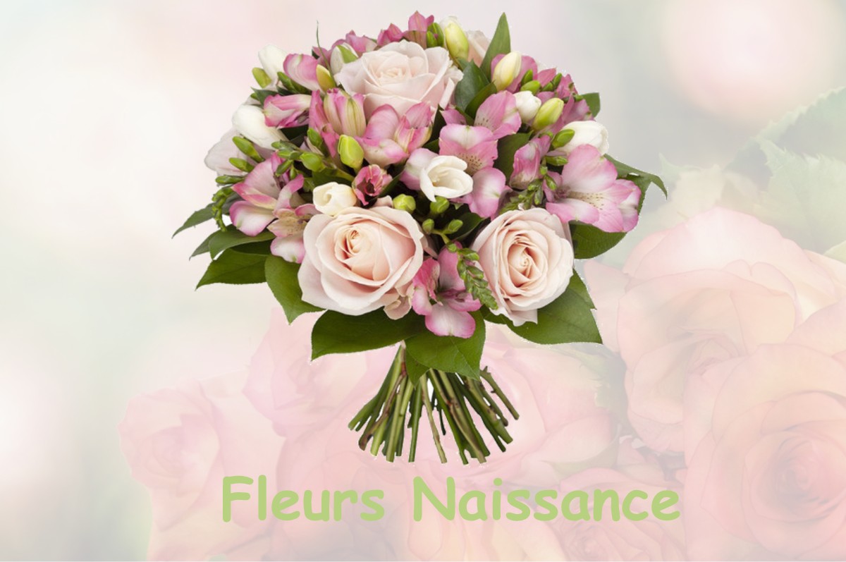 fleurs naissance CHASSAL