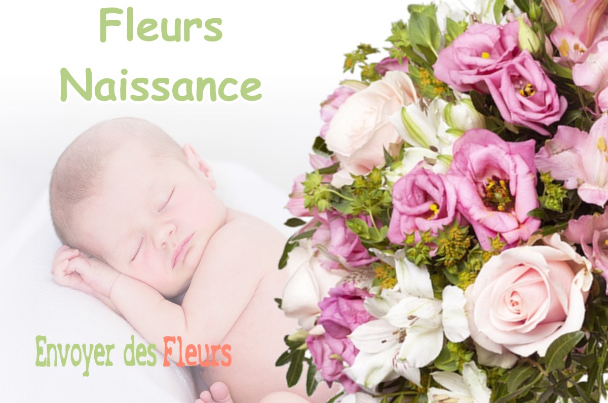 lIVRAISON FLEURS NAISSANCE à CHASSAL